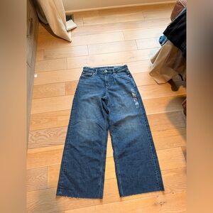 American Eagle DREAMY DRAPE BAGGY WIDE LEG 4 short NWT